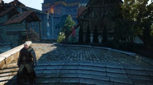 СИЛЬНЕЙШИЙ AFK БИЛД для ленивых в Ведьмак 3 | Лучший билд Ведьмак 3