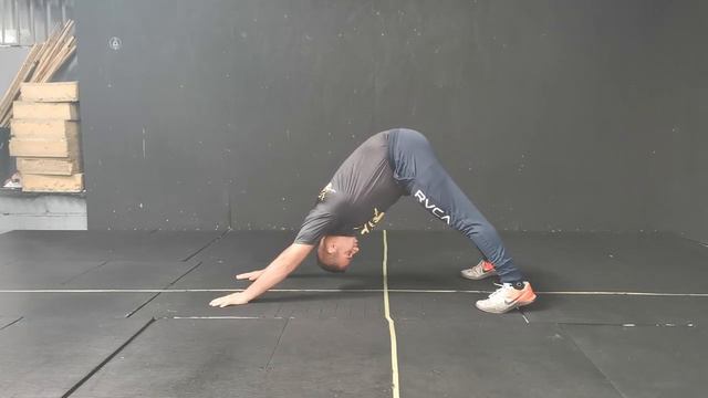 Downward dog смотреть онлайн