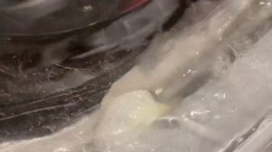 LG 8 KG: ДЕЛИКАТНАЯ СТИРКА 40°// СЛОЖНЫЙ ВЫБОР ПРОГРАММЫ. КАК ВЫ ДУМАЕТЕ?