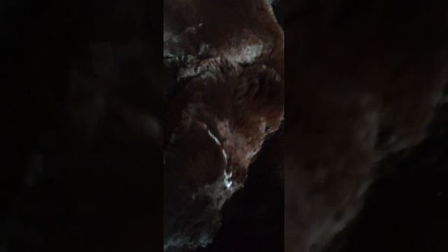 Чем поливают мою дачу??? — 05.10. 23 смотреть онлайн