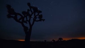 STARSCAPES - Звездное небо HD 1080p mp4 1280x720