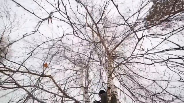 Фотографы прилетели. (Видео о том как, тяжело быть фотографом) смотреть онлайн