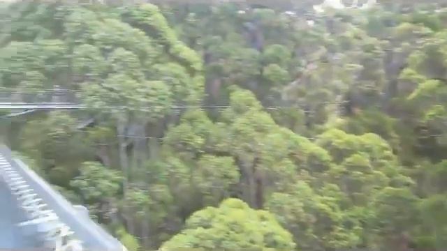 Western Australia 2016 смотреть онлайн