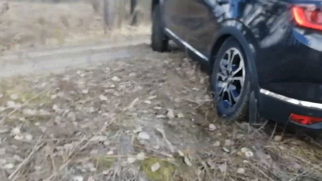 RENAULT ARKANA ( РЕНО АРКАНА) #renault #arkana #offroad