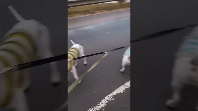 Умка и Боб смотреть онлайн