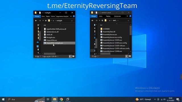Agile .NET Unpack (with Devirtualization) | Latest Version | 6.6.042 смотреть онлайн