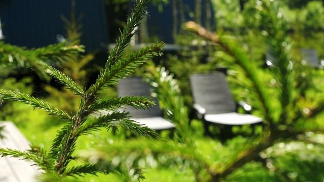 Обзор гостевых коттеджей А-фрэйм в Никитском подворье. Переславль-Залесский. смотреть онлайн