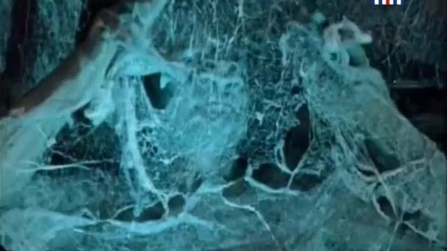 Мистика в творчестве Гоголя смотреть онлайн