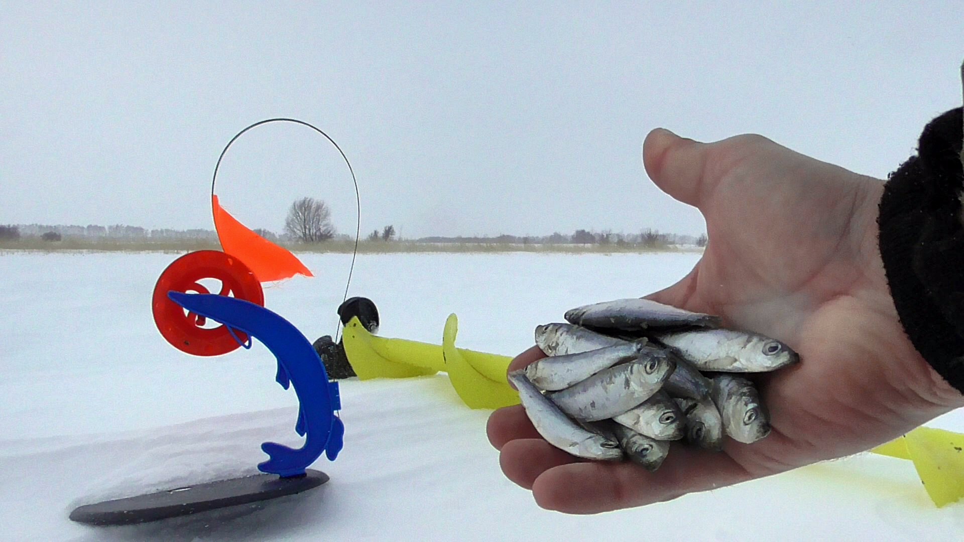 Реакция ЩУКИ на Кильку! Ловля щуки на жерлицу. Подводная съемка смотреть онлайн