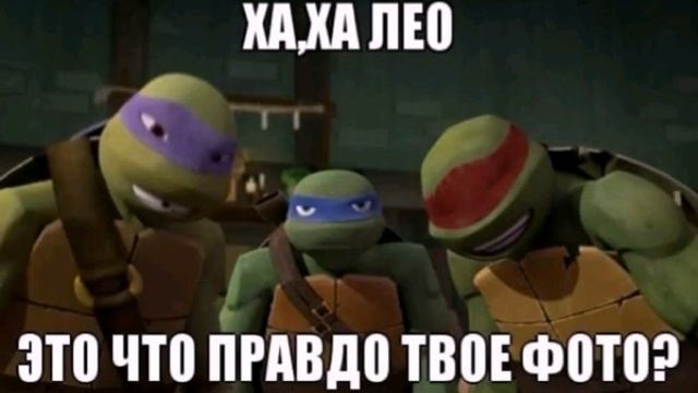 Приколы от черепашек ниндзя. смотреть онлайн