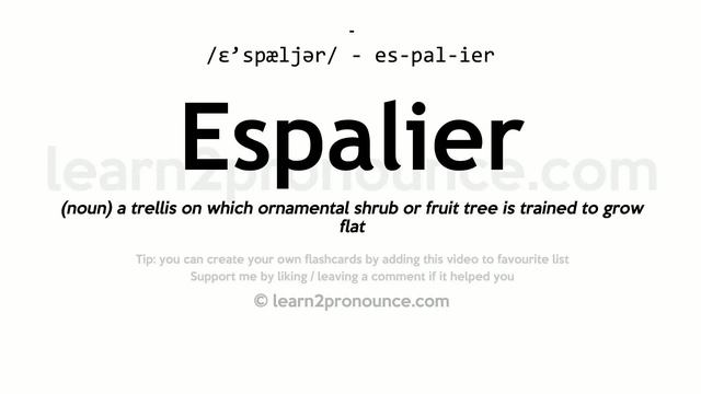 Pronunciation of Espalier | Definition of Espalier смотреть онлайн