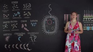 6. Строение бактериальной клетки. Микробиология 10 - 11 класс