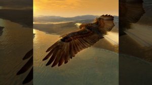 Под небом голубым есть город золотой