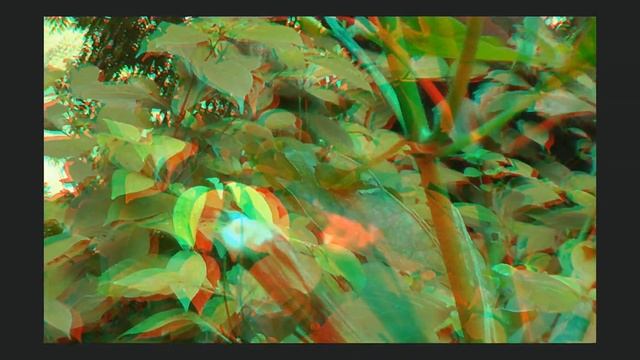 3D Anaglyph video (Panasonic HDC SD 800 3D Camera) смотреть онлайн