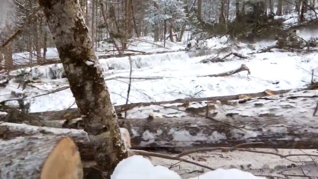 Все подряд В тайге Приморья (есть маты).(68) смотреть онлайн