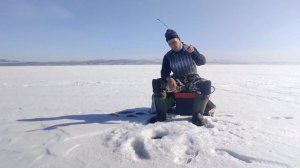 ЛОВЛЯ ОКУНЯ В НАЧАЛЕ ВЕСНЫ. ЛОВЛЯ ОКУНЯ В МАРТЕ.