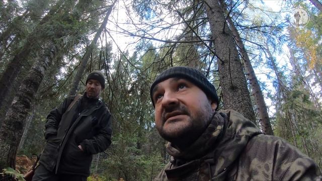 Охотимся на рябчика | Непуганые глухари | Сильный ветер смотреть онлайн