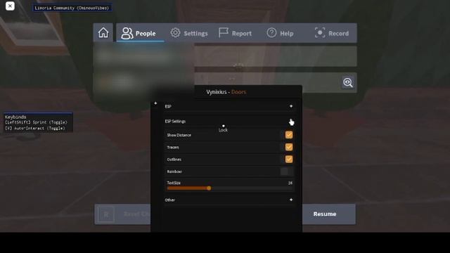ROBLOX Doors Script | Remove Doors, Walk Speed, Skip Library and More! смотреть онлайн