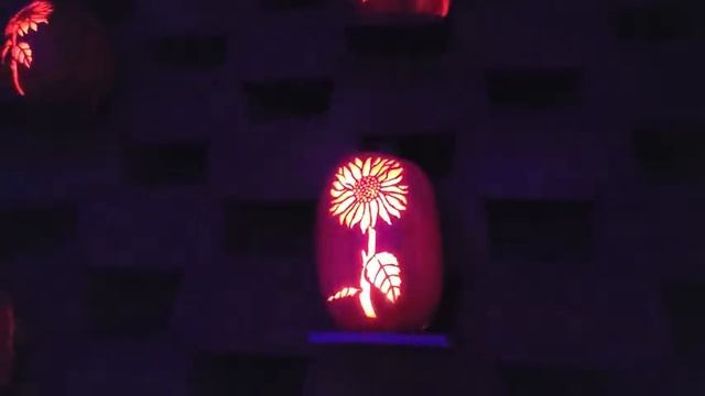 NEW Dollywood's Great Pumpkin LumiNights 2022 Walkthrough Hoot Owl Hollow Pigeon Forge TN смотреть онлайн