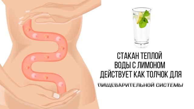 ЧТО БУДЕТ С ТЕМИ, КТО ПЬЕТ ВОДУ УТРОМ, НАТОЩАК смотреть онлайн