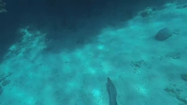 Египетские каникулы | Island View Resort Шарм-эль-Шейх | Белый остров - это РАЙ!