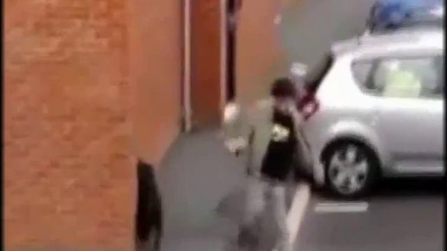 собака выгуливает хозяина dog walks owner смотреть онлайн