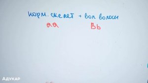 Генетика | Решение задач по генетике | Неполное доминирование | Биология |Решение генетических зада