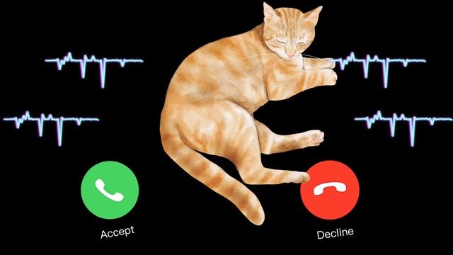 ?APPLE?RINGTONE IPHONE #pro #iphone #cat Mibo EP.15 смотреть онлайн