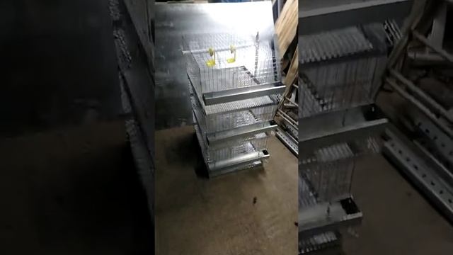 Клетка для перепелов на 60 птиц своими руками смотреть онлайн