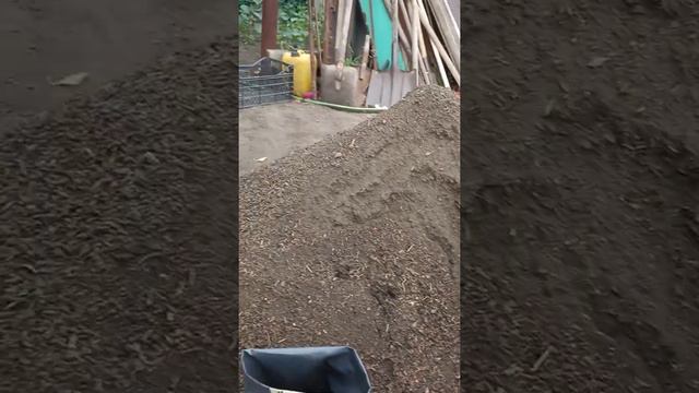посадка укоренённых сортов инжира смотреть онлайн