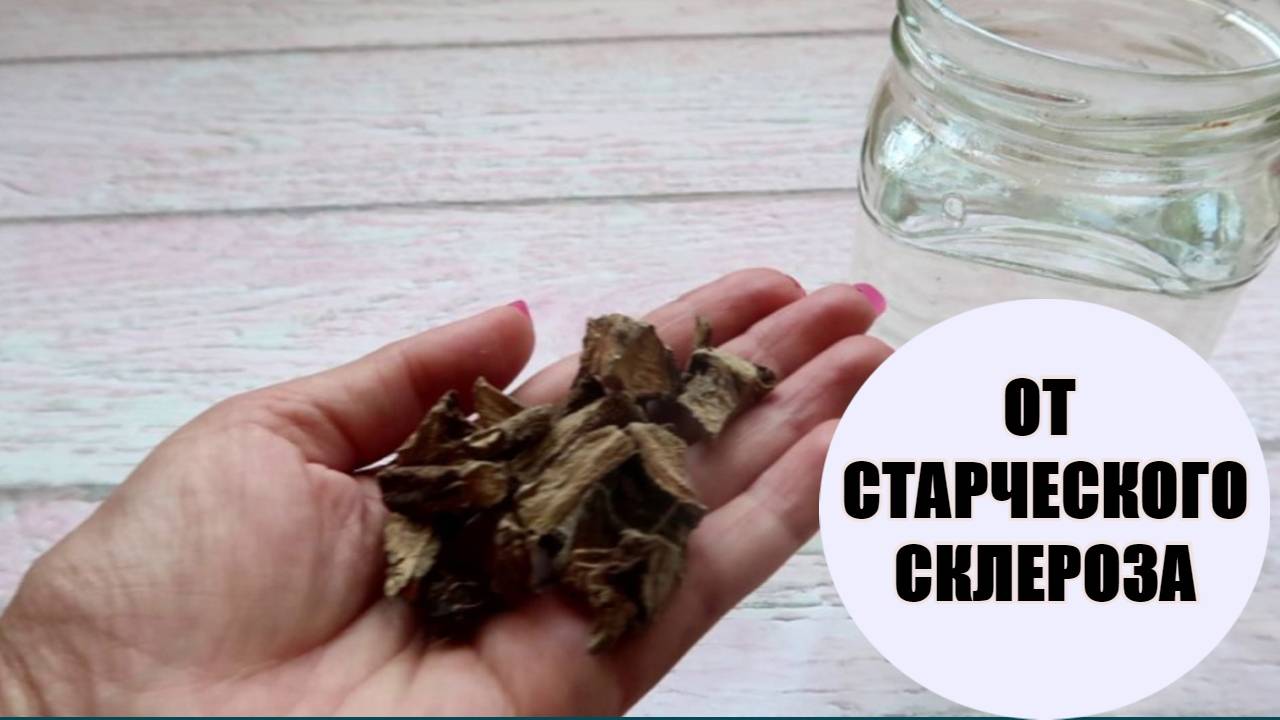 Чудо настойка от СКЛЕРОЗА, растет в каждом огороде смотреть онлайн