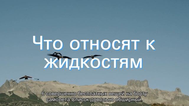 Объяснен реальный смысл ограничений на провоз жидкостей на борту самолета смотреть онлайн