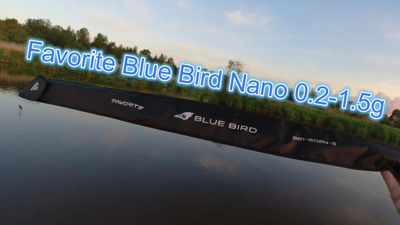 #мормышинг |Спиннинг Favorite Blue Bird Nano 602N-S 0.2-1.5g смотреть онлайн