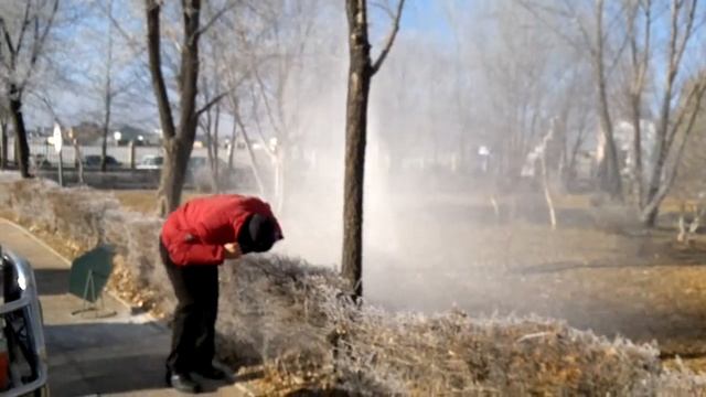 Дуботряс смотреть онлайн