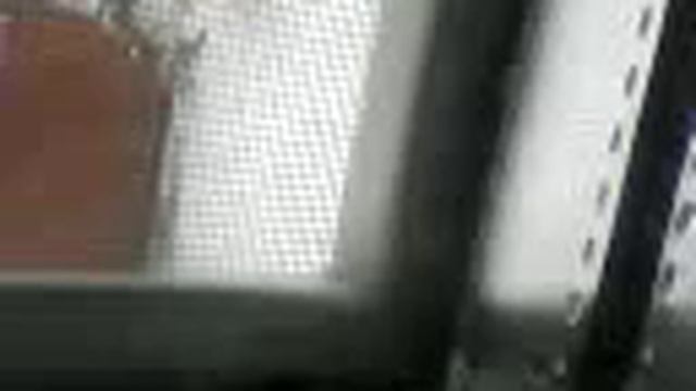 Видео0008 смотреть онлайн