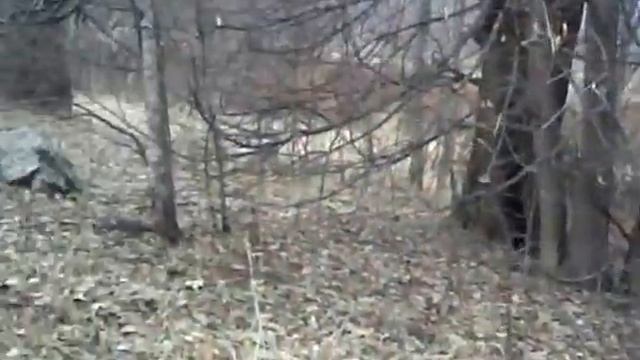 Зима возвращается а мы продолжаем копать. смотреть онлайн