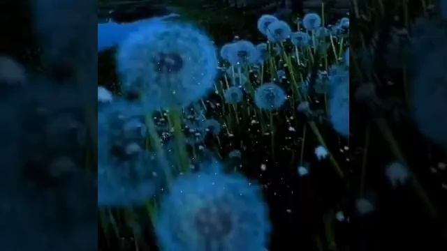 #добройночи #goodnight