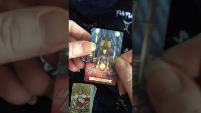 Everyday Witch Oracle & Mini Tarot Flip Thru! ??♀️ смотреть онлайн