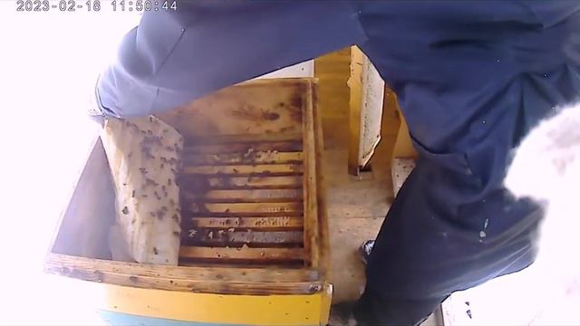Подкормка пчёл в феврале. смотреть онлайн