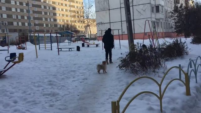 Короче Говоря Мой День смотреть онлайн