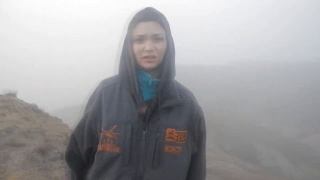 УАЗ патриот 