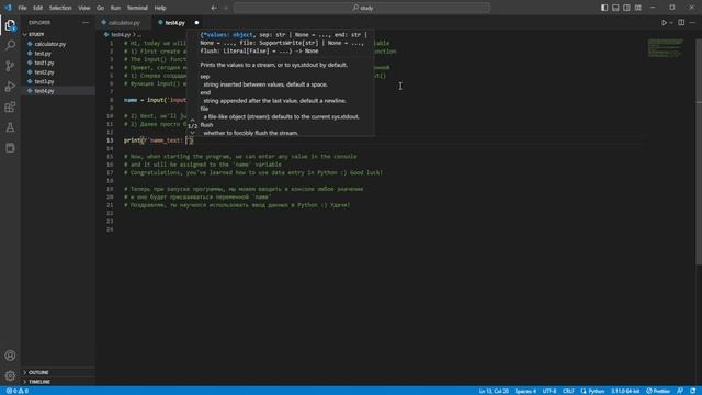 Function input data in Python смотреть онлайн