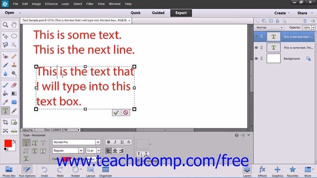 Photoshop Elements 12 Tutorial Selecting Text Adobe Training Lesson 11.3 смотреть онлайн