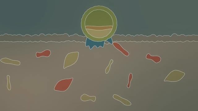 Pregnancy - How A Wonder Is Born! (Animation)