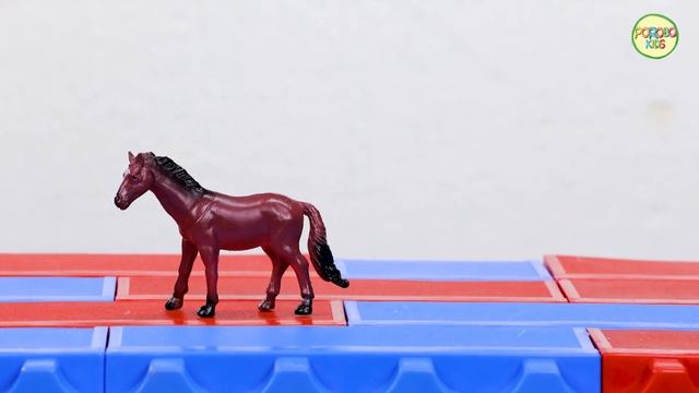 Sounds Of Domestic Animals For Baby Education