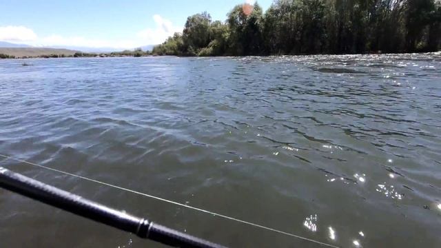 Форель на воблер ! Поймал пол метрового " Кабана " ! смотреть онлайн