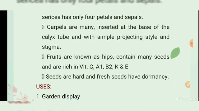 Rose: Introduction, World Scenario, Major Importers And Exporters, Importance & Uses.