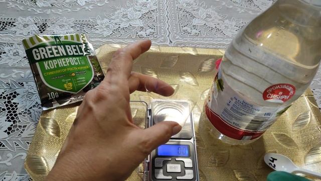 Ампельные бегонии. Осеннее черенкование, мой опыт и результаты. смотреть онлайн