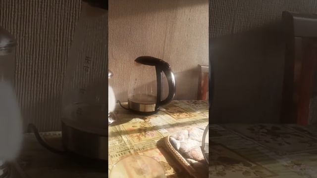 Ингаляция светлым жиром для собаки ч 1 смотреть онлайн