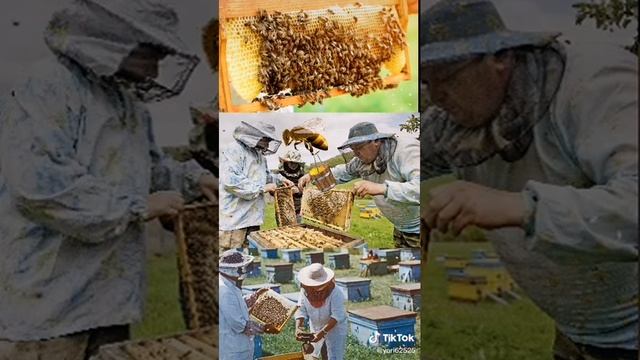 Мед Чудо смотреть онлайн